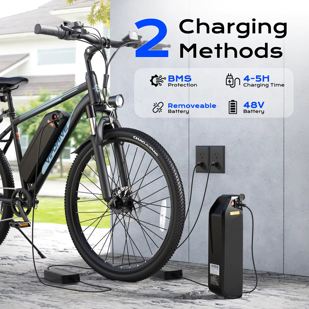 VIPDRIVE Defier 1.1 Electric Bike