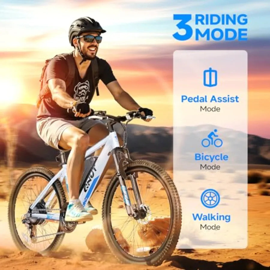 750W Electric Bike