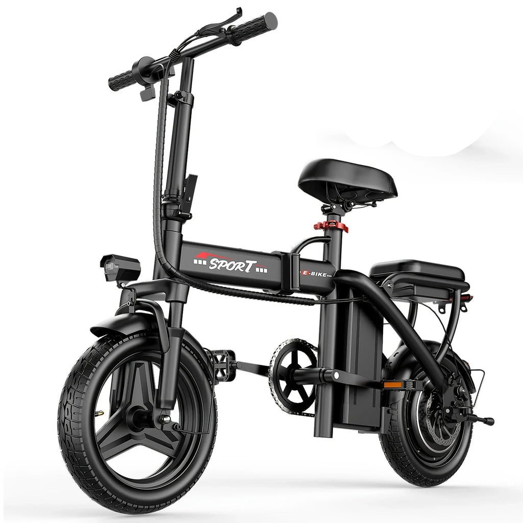 Folding Electric Bike