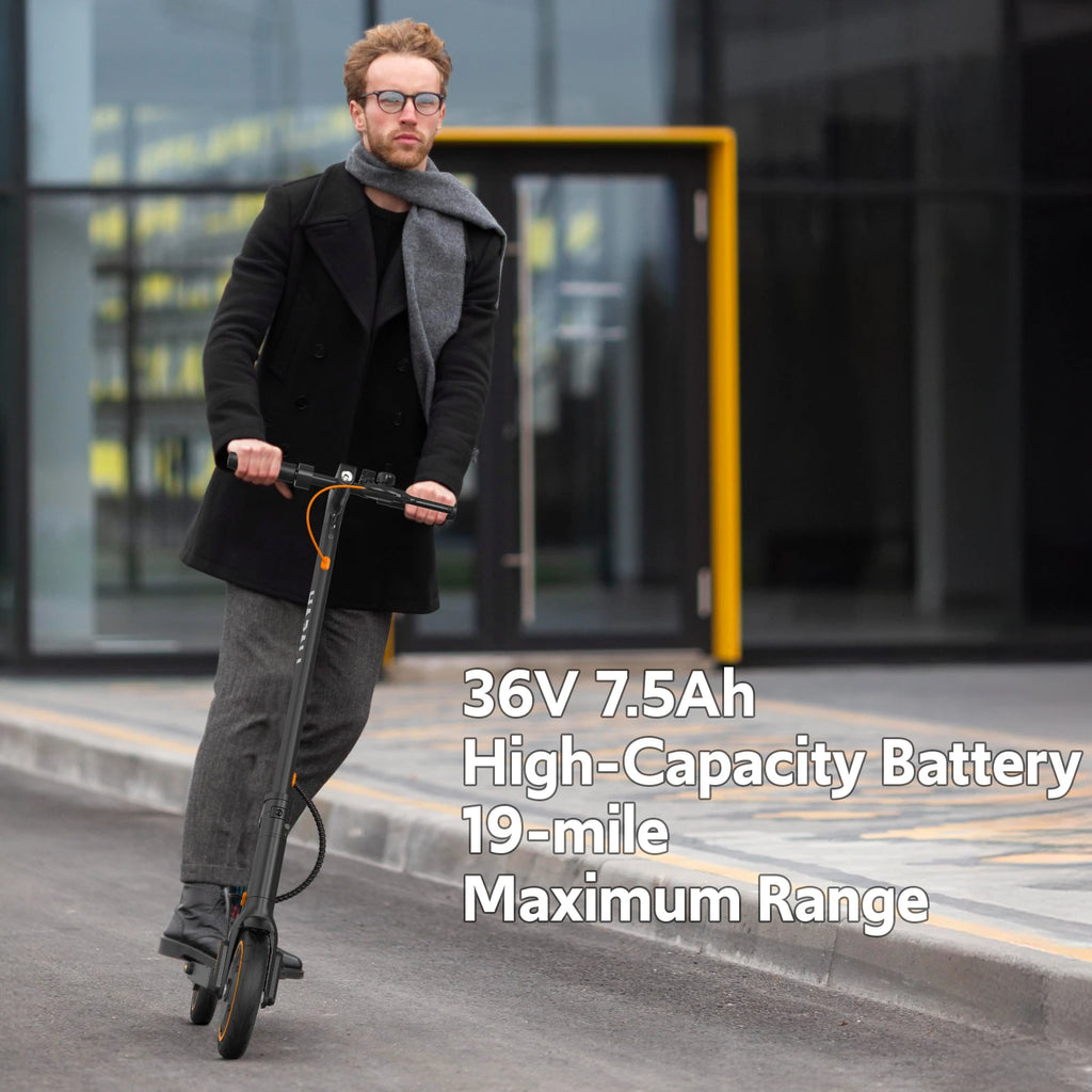 550W Electric Scooter