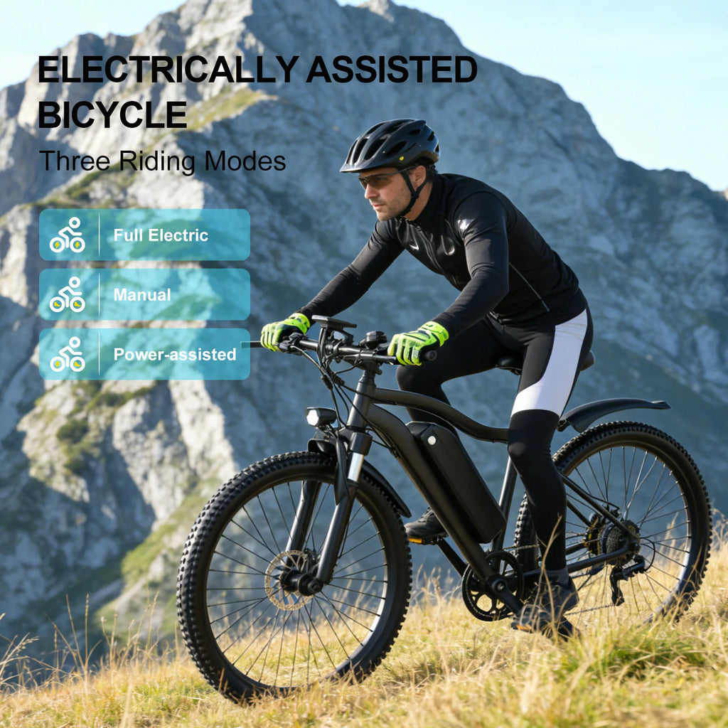 Toofly G73 Electric Bike