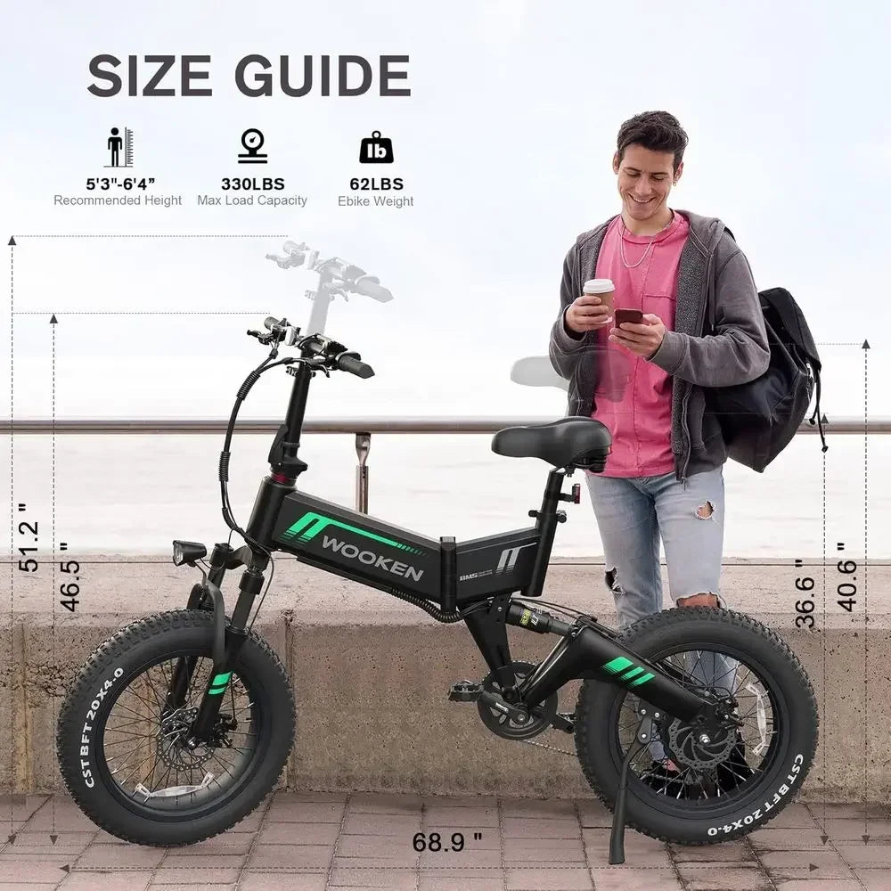 750W Electric Bike