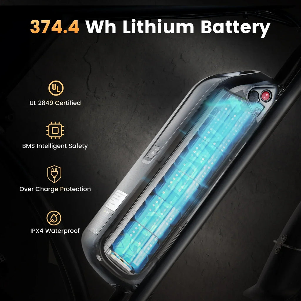 Cycrown RUN Electric Bike