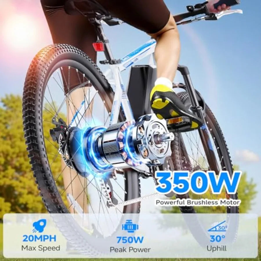 750W Electric Bike