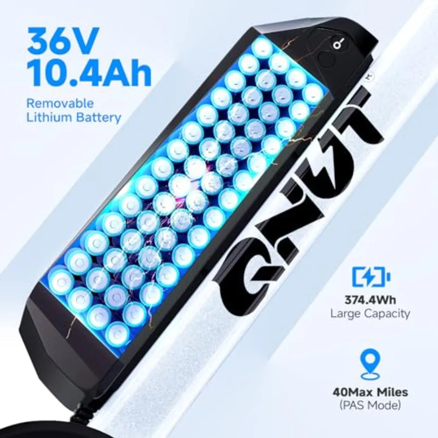 750W Electric Bike