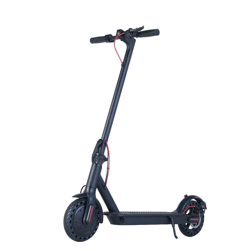 350W Folding Electric Scooter