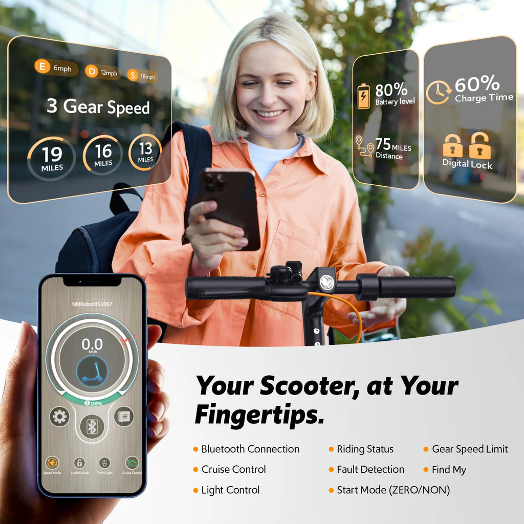 Foldable Electric Scooter