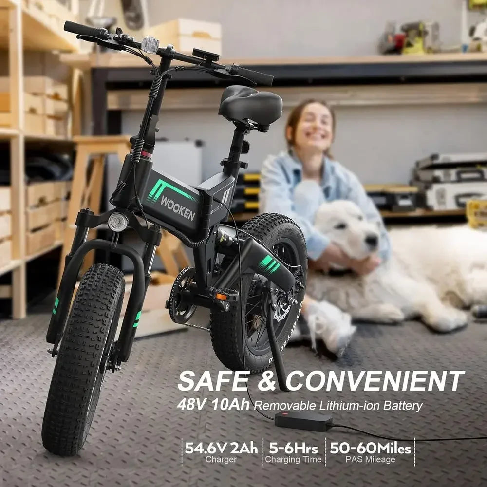 750W Electric Bike