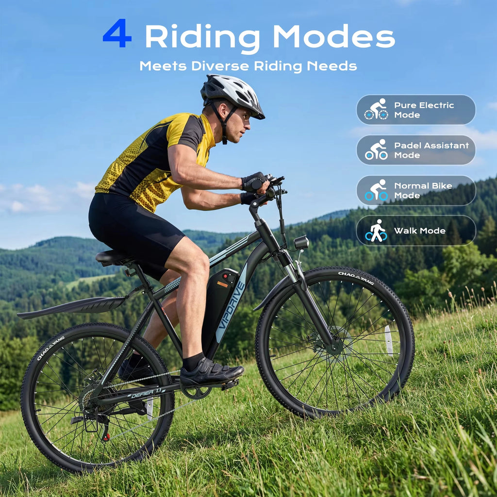VIPDRIVE Defier 1.1 Electric Bike