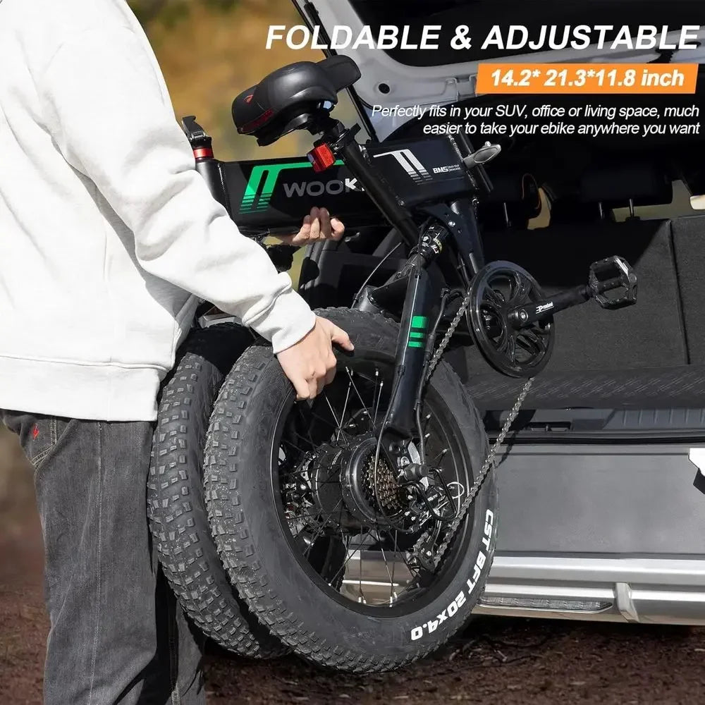 750W Electric Bike