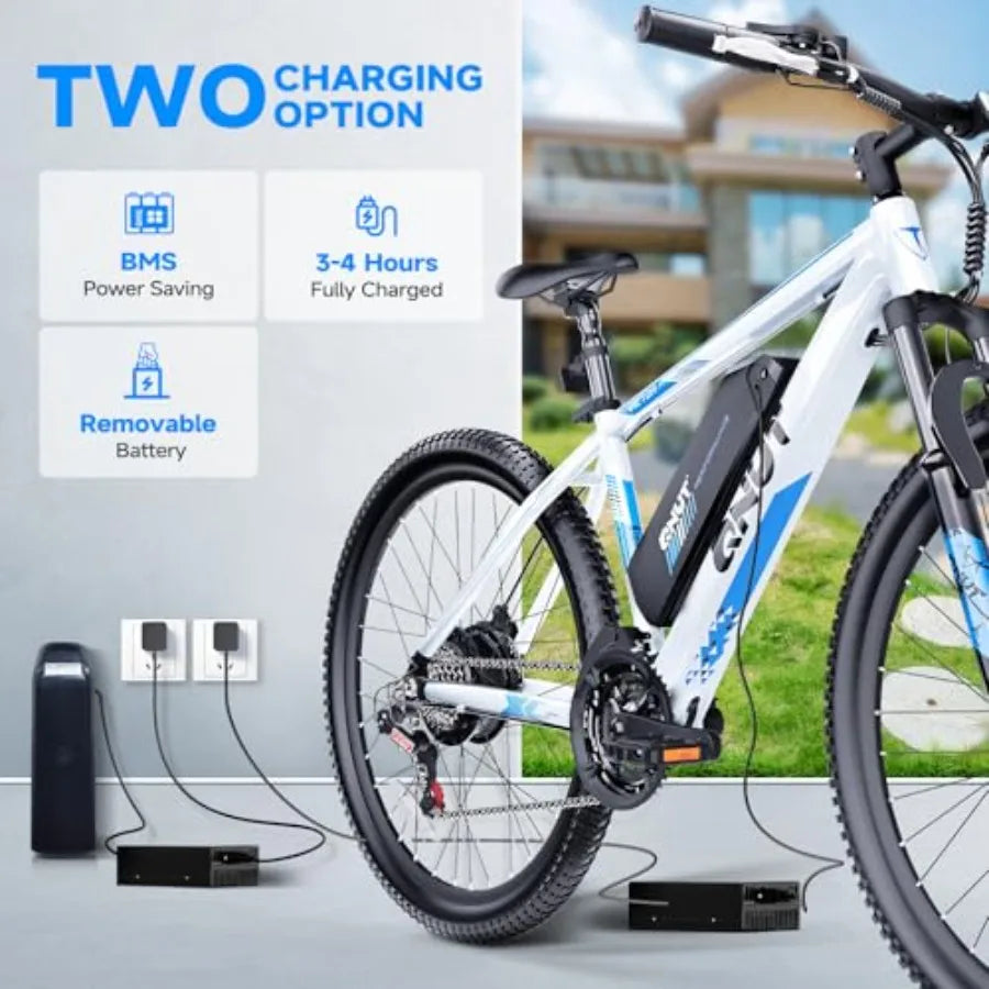 750W Electric Bike