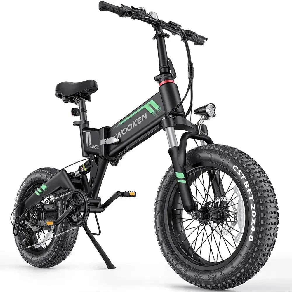 750W Electric Bike