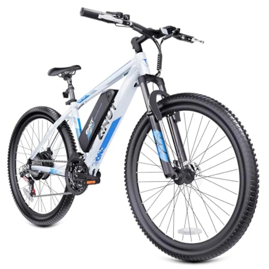 750W Electric Bike